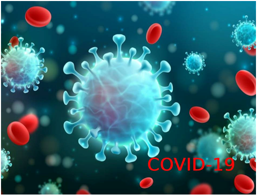 Hiệu quả và độ an toàn của ba phương pháp điều trị kháng vi-rút đường uống mới (molnupiravir, fluvoxamine và Paxlovid) đối với COVID-19.